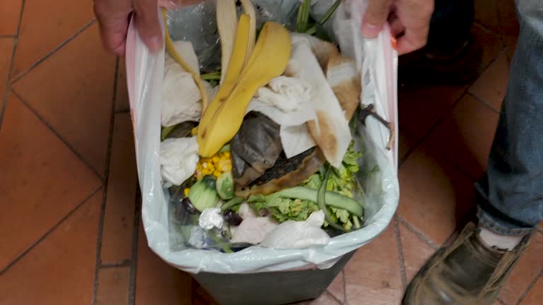 Reliable Moulton, AL Junk Removal Services Solutions